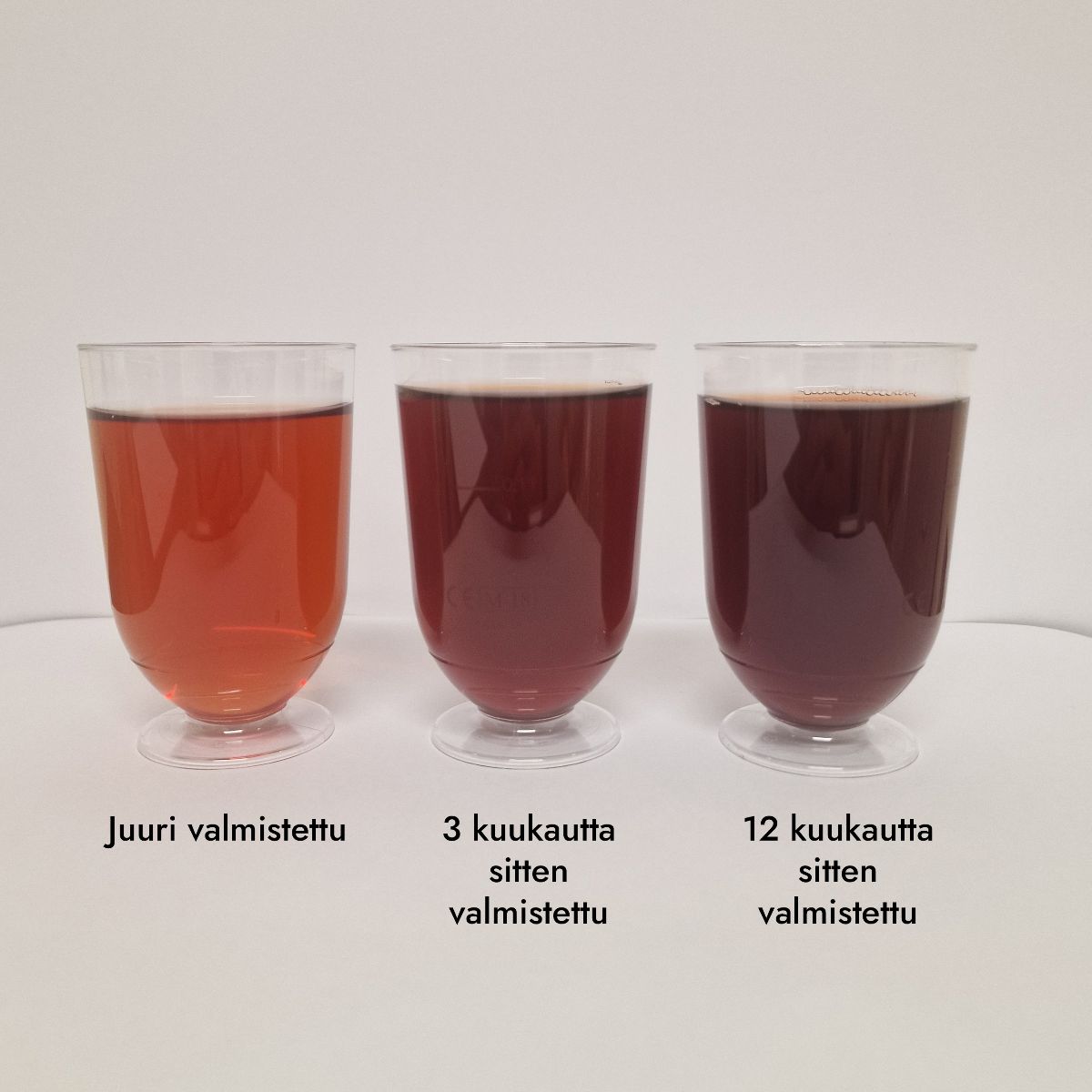 Karin Havupuu-uutejuoma (HYVIKKI-TUOTE)-Karin Havupuu-Hyvinvoinnin Tavaratalo