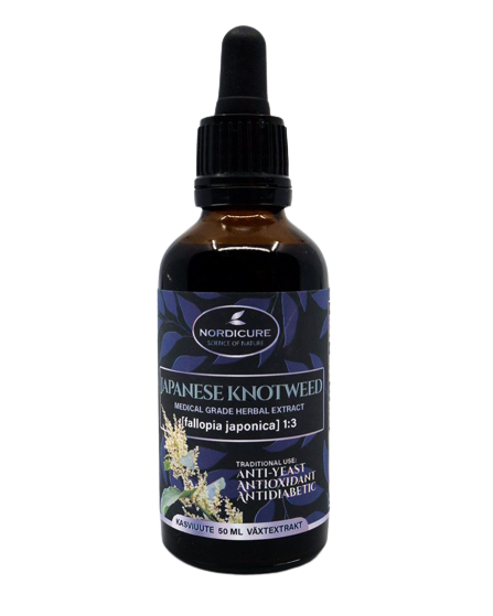 NordiCure Japanese Knotweed 1:3-NordiCure-Hyvinvoinnin Tavaratalo