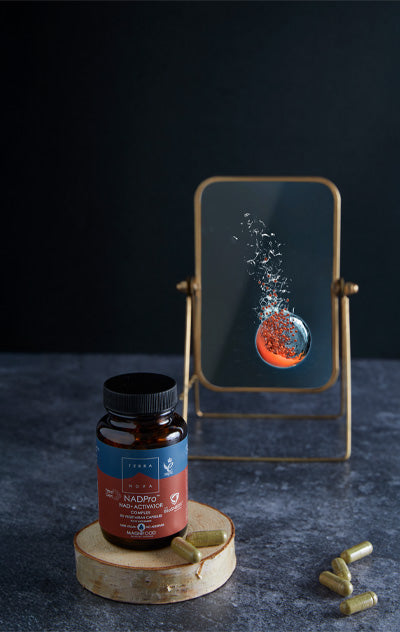 Terranova NextGen NADPro Complex-Terranova-Hyvinvoinnin Tavaratalo