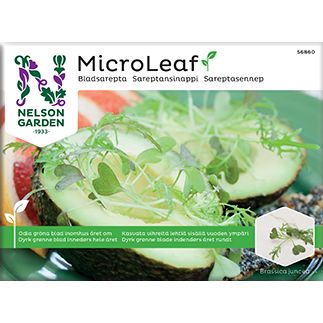 Nelson Micro Leaf Sareptansinappi-Nelson Garden-Hyvinvoinnin Tavaratalo