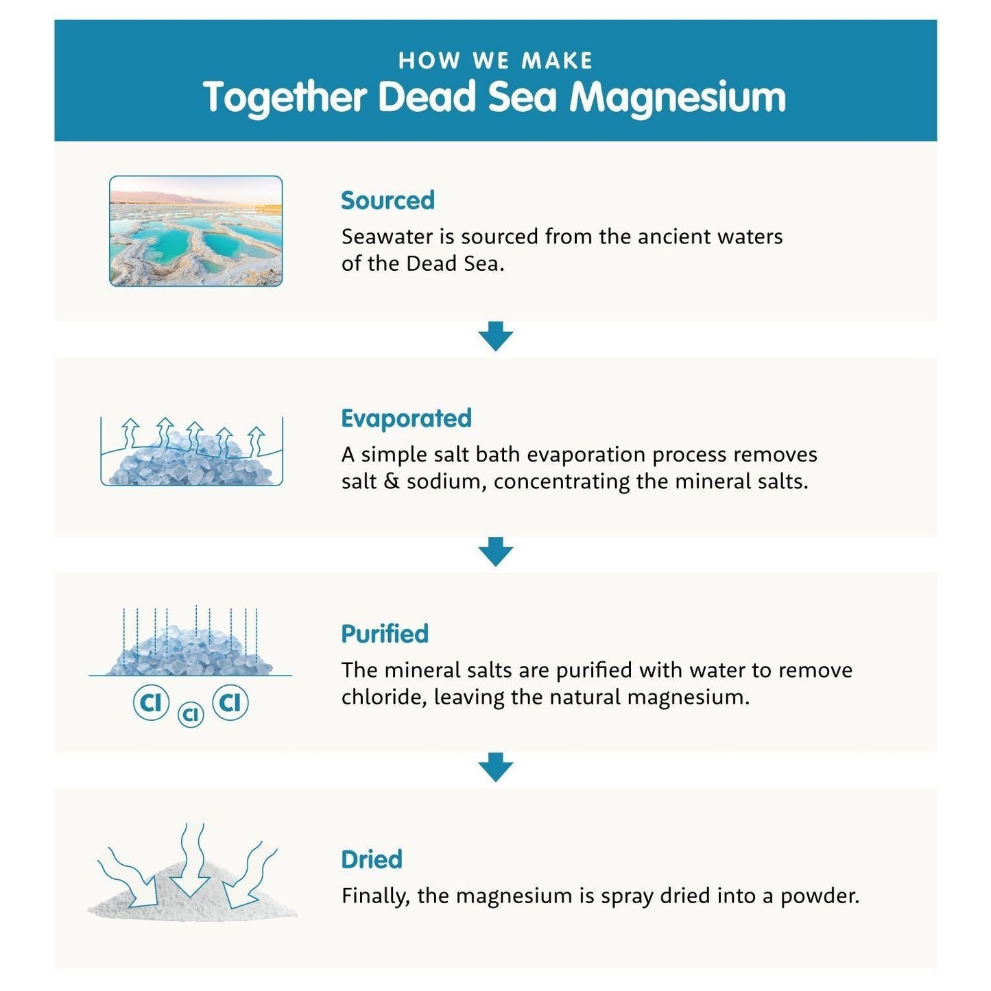 Together Health Magnesium; infograafi Kuolleenmeren magnesiumin valmistuksesta: kerätty Kuolleesta merestä, haihdutettu suolan poistamiseksi, puhdistettu pesemällä ja sumukuivattu jauheeksi; yksinkertaisia kuvituksia korostaen mineraalin erityisominaisuuksia jokaisessa vaiheessa.
