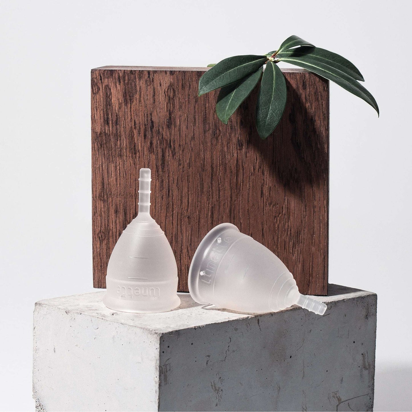 Lunette Kuukuppi Kirkas-Lunette-Hyvinvoinnin Tavaratalo