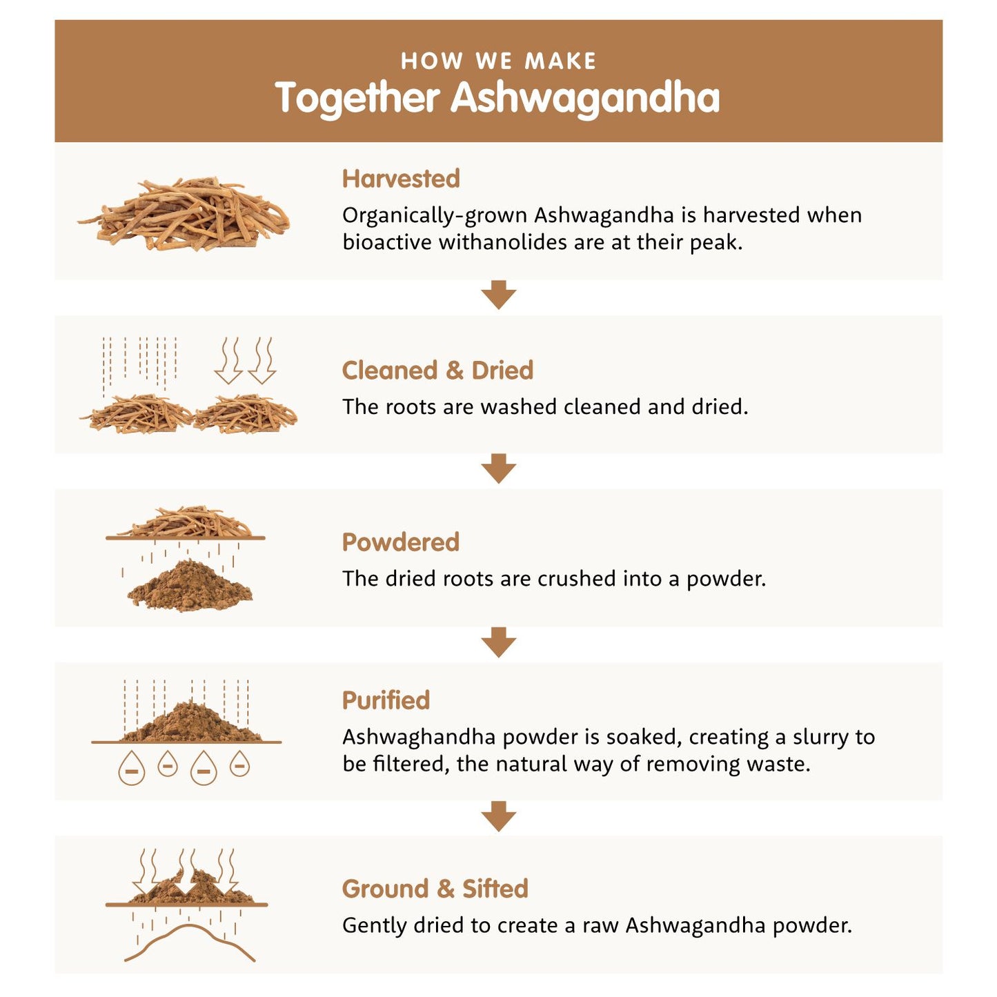 Together Health Ashwagandha-Together Health-Hyvinvoinnin Tavaratalo