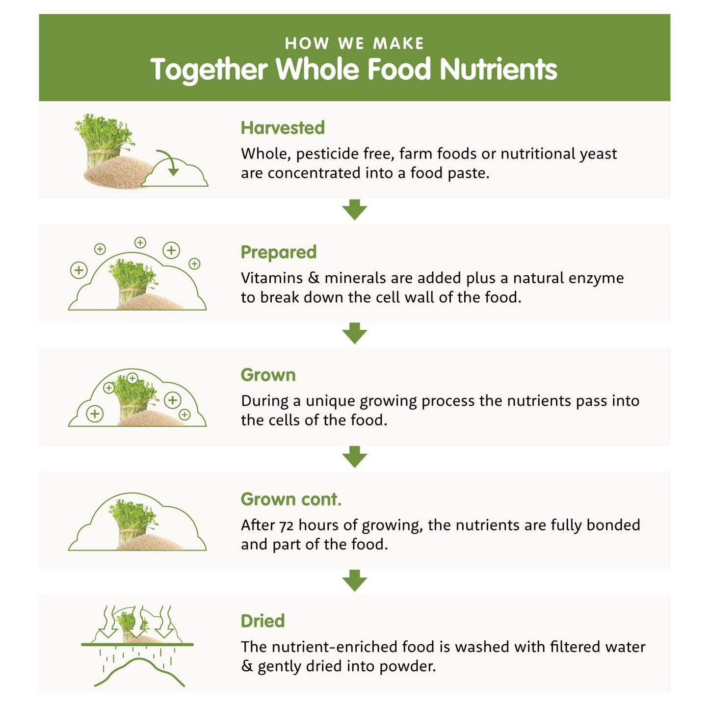 Together Health Gentle Iron Complex-Together Health-Hyvinvoinnin Tavaratalo