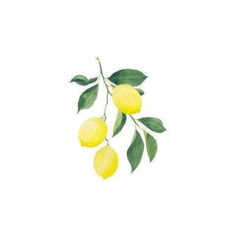 Weleda Citrus Refresh Suihkuvoide-Weleda-Hyvinvoinnin Tavaratalo