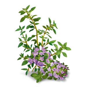 YogiTea Luomu Breathe Deep tee-YogiTea-Hyvinvoinnin Tavaratalo