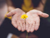 Nainen pitää keltaista kukkaa käsiensä välissä