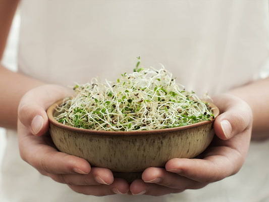 Idättämällä syntyy ravinnerikasta, helposti sulavaa ja edullista ruokaa