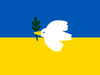 Rauhankyyhky lentää Ukrainan lipun edessä