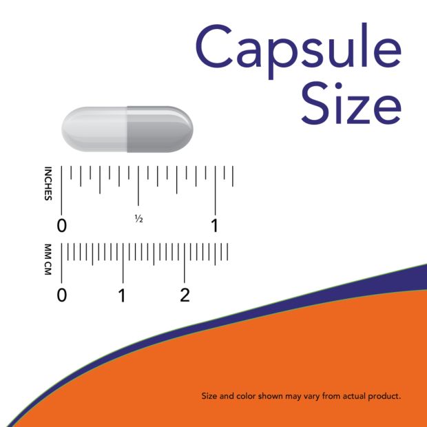 A gray capsule is positioned beside two rulers marked in inches and centimeters, showing a length of about 1 inch or 2 centimeters. The surface appears matte. The background is white. Black sans serif text reads “Capsule Size.” There is an orange and blue geometric accent at the bottom edge. No packaging, people, or hands are visible in the photo.