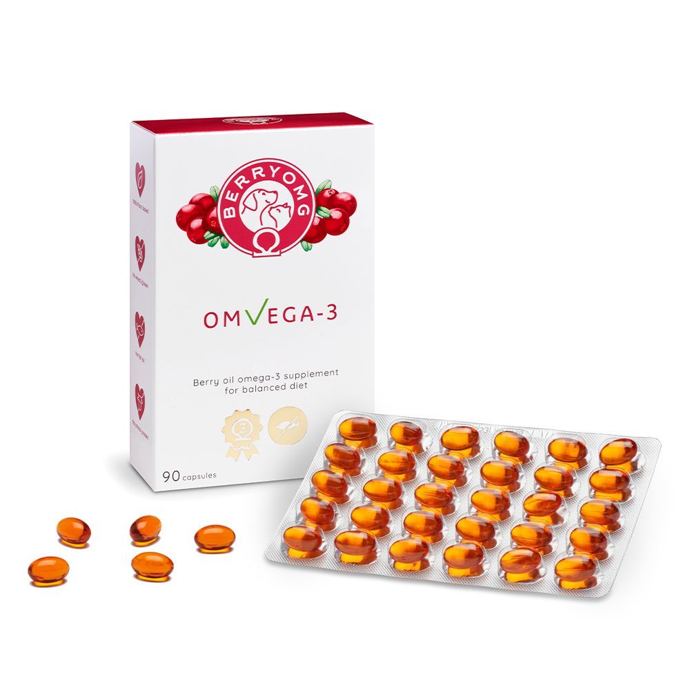 Berry OMG OMvEGA-3; suorakulmainen, mattapintainen pakkaus marjakuvituksin liuskapakkauksen vieressä, jossa 36 soikeaa, oranssia pehmeäkapselia; lihavoitu groteskiteksti "OMVEGA-3" kertoo omega-3-ravintolisästä; valkoinen tausta.