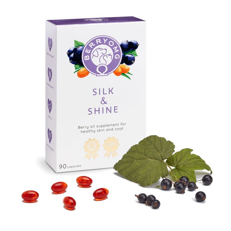 Berry OMG Silk & Shine; suorakulmainen, mattapintainen pakkaus, jonka vierellä hajallaan punaisia kapseleita, mustaherukoita ja tuoreita lehtiä; lihavoitu teksti tuotenimestä; valkoinen tausta, näkyvissä vain pakkauksen etusivu ja osa kapseleista.