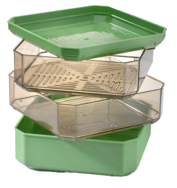 Germline Pinottava Idätysastia