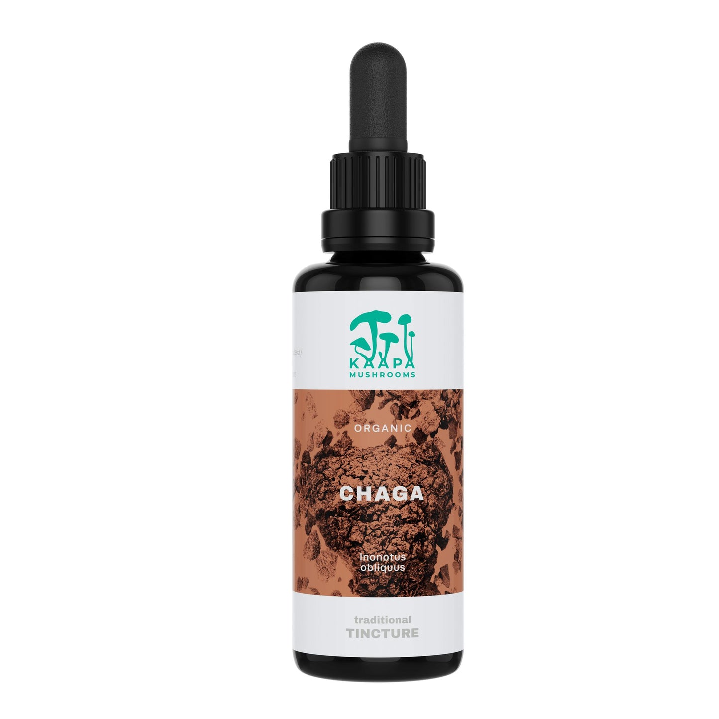KÄÄPÄ Mushrooms Luomu Pakuri sieniuute; tumma lasinen tiputinpullo tekstillä "Kapa Mushrooms Organic Chaga Tincture", ruskea design sienikuvituksin ja teksti mainitsee Inonotus obliquuksen ja luomuainesosat; etiketti yksinkertaista valkoista ja ruskeaa groteskifonttia; pullo mattapinnalla mustalla tiputinkorkilla; tausta vaalea ja yksinkertainen, kuvassa vain tuote ilman ihmisiä.