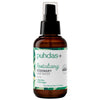 Puhdas+ Rosmariini Hiusvesi; meripihkanvärinen suihkepullo tekstillä "puhdas+ Revitalizing Rosemary Hair Water", 100 ml, aloe veraa, 100 % vegaaninen, 100 % puhdistettu, rikastettu tunnuslauseella "Pure Beauty Born in Finland"; lieriön muotoinen muovipullo mustalla suihkesuuttimella ja mattapinnalla; etiketissä vihreitä lehtikuvioita ja sans-serif-tekstiä valkoisella pohjalla; ei ihmisiä tai käsiä, tuote pystyssä neutraalia taustaa vasten.