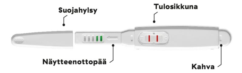 RFSU Early Raskaustestin testitikun osat – suojahylsy, näytteenottopää, tulosikkuna ja kahva
