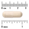 Swanson Saccharomyces Boulardii kapseli