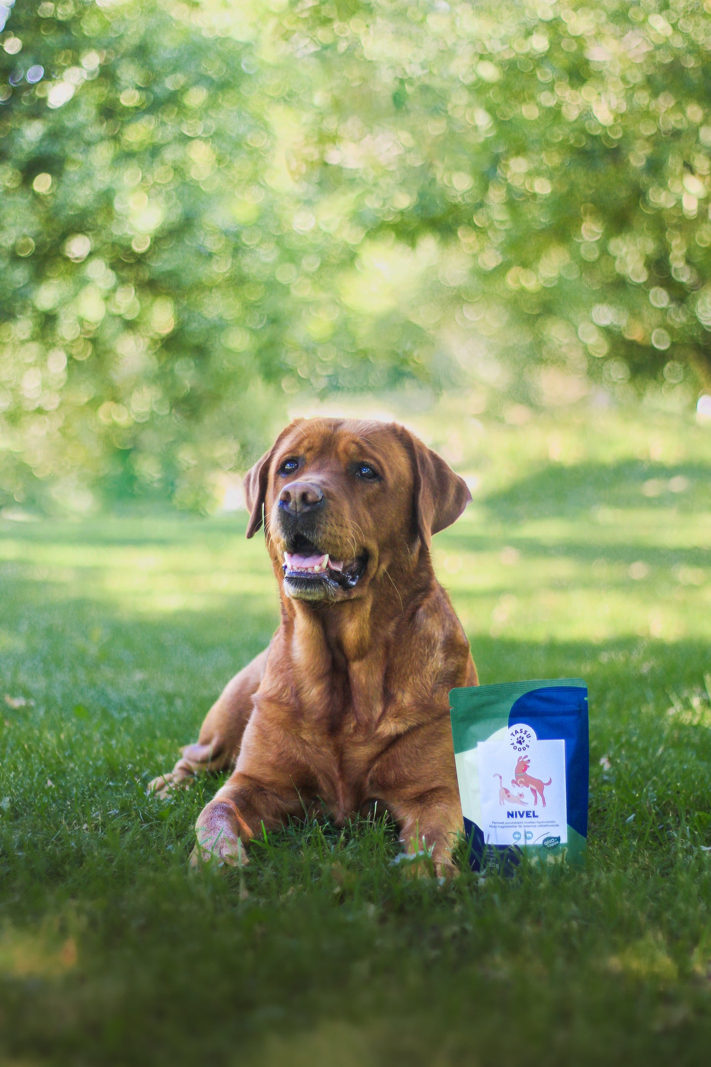 Tassu Foods Nivel-Tassu Foods-Hyvinvoinnin Tavaratalo