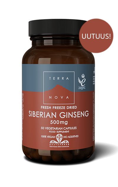 Terranova Siperian Ginseng 500 mg; ruskea pullo tekstillä "TERRANOVA Fresh Freeze Dried Siberian Ginseng 500mg", 50 kasviperäistä kapselia; mattapintainen ja lieriön muotoinen kierrekorkilla; lihavoitua groteskityyppografiaa ja punainen tarra tekstillä "UUTUUS!"; vaalealla taustalla pystyssä suoraan edestä kuvattuna, ei ihmisiä tai käsiä.