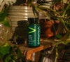 Vitalized Iron+ / Eisen+ 15 mg-Vitalized-Hyvinvoinnin Tavaratalo