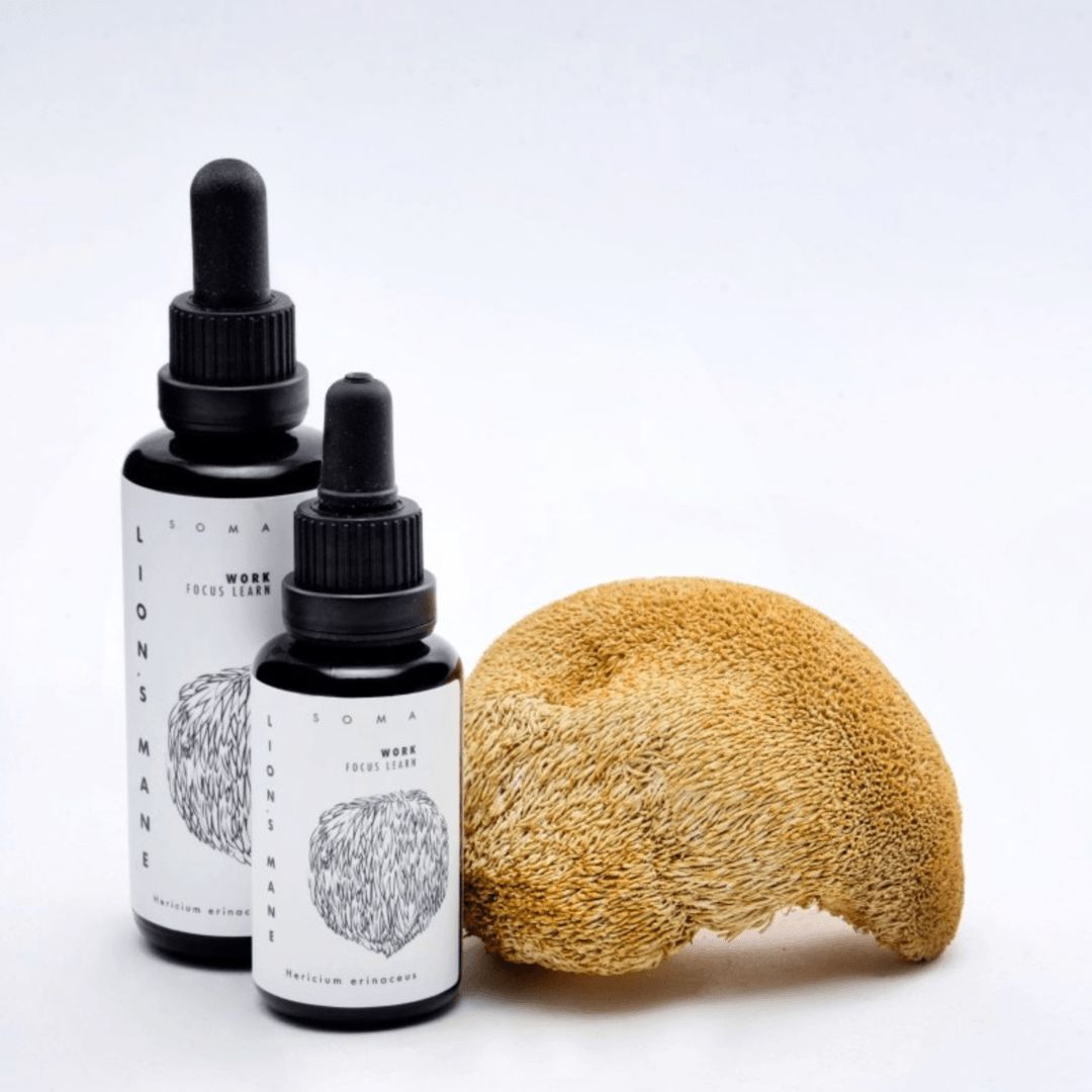 KÄÄPÄ Mushrooms Luomu Lion's Mane sieniuute; kaksi mustaa tiputinpulloa tekstillä "Lions Mane" tuoreen siilikäävän vieressä valkoisella taustalla; pullot mattapintaisia ja lieriömäisiä, kummassakin musta korkki ja tiputin; etiketin teksti yksinkertaista ja vaakasuoraa, molemmissa etiketeissä yksityiskohtainen musta viivapiirros siilikäävästä; ei ihmisiä tai käsiä näkyvissä.