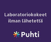 Mini Ferrum Lasten Hemirautajauhe