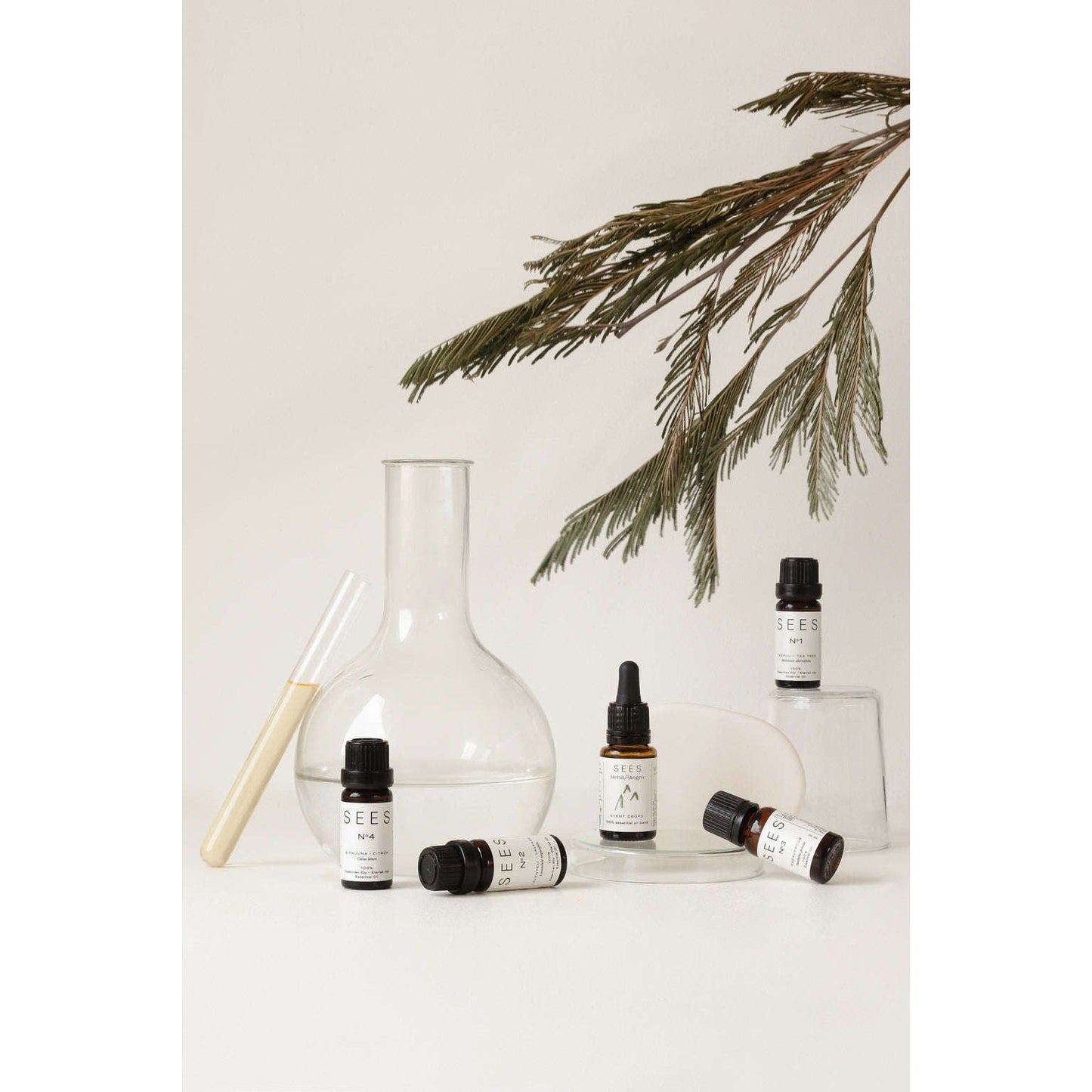 Minimalist display of skincare or wellness products in dropper bottles, with glassware, test tubes, and a green branch against a neutral background. Multiple cylindrical dropper bottles made of clear and amber glass with matte or glossy finishes are arranged upright. Clear glassware includes empty beakers and test tubes. No people present. Labels on bottles show minimalist fonts; only product names and basic information are legible from the front-facing labels. Overhead or eye-level shot; uncluttered