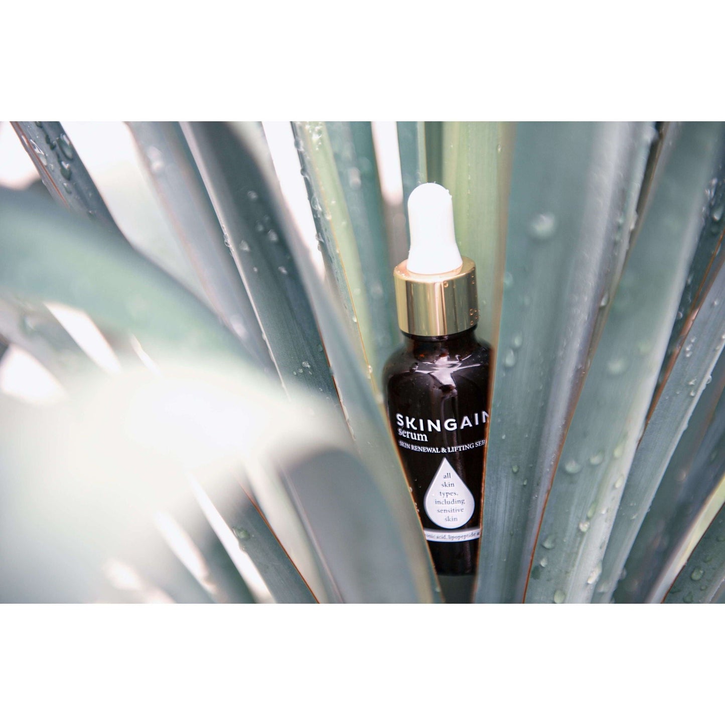 SKINGAIN serum-SKINGAIN-Hyvinvoinnin Tavaratalo
