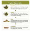 A step-by-step infographic showing how natural iodine is made from seaweed: harvesting, preparing, testing, and encapsulating, with supporting images for each stage. Layout is vertical with four rectangular sections separated by lines. Each section contains a simple flat graphic illustration representing a stage of the process. Background is white. No people or hands present. Minimal sans-serif text labels each step in black font. No product packaging shown.