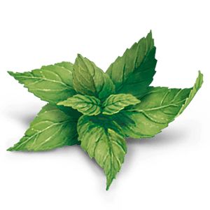 YogiTea Luomu Inkivääri-Sitruunatee-YogiTea-Hyvinvoinnin Tavaratalo