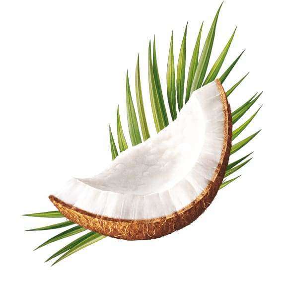 Ecodenta Minty Coconut Suuvesi-Ecodenta-Hyvinvoinnin Tavaratalo