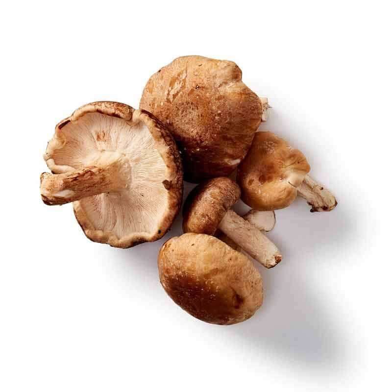 Mushrooms 4 Life Luomu Shiitake-Mushrooms 4 Life-Hyvinvoinnin Tavaratalo