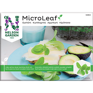 Nelson Micro Leaf Kurkkuyrtti-Nelson Garden-Hyvinvoinnin Tavaratalo