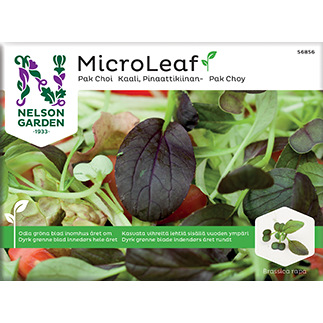 Nelson Micro Leaf Pinaattikiinankaali-Nelson Garden-Hyvinvoinnin Tavaratalo